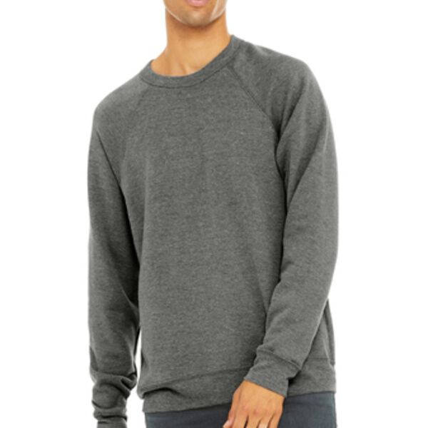 Unisex Sponge Fleece Raglan Sweatshirt Thumbnail