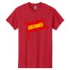 Heavy Cotton  100% Cotton T Shirt Thumbnail
