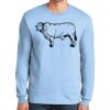 Ultra Cotton ® 100% US Cotton Long Sleeve T Shirt Thumbnail