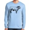 Ultra Cotton ® 100% US Cotton Long Sleeve T Shirt Thumbnail