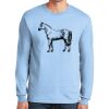 Ultra Cotton ® 100% US Cotton Long Sleeve T Shirt Thumbnail