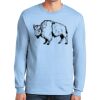 Ultra Cotton ® 100% US Cotton Long Sleeve T Shirt Thumbnail