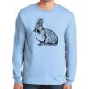 Ultra Cotton ® 100% US Cotton Long Sleeve T Shirt Thumbnail
